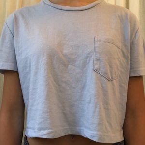 Brandy Melville Blue Crop Top